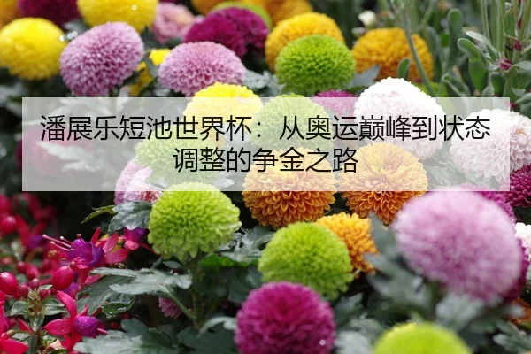 潘展乐短池世界杯：从奥运巅峰到状态调整的争金之路