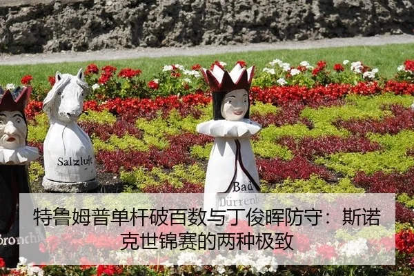 te-lu-mu-pu-dan-gan-po-bai-shu-yu-ding-jun-hui-fang-shou-si-nuo-ke-shi-jin-sai-de-liang-zhong-ji-zhi-2-554.jpg