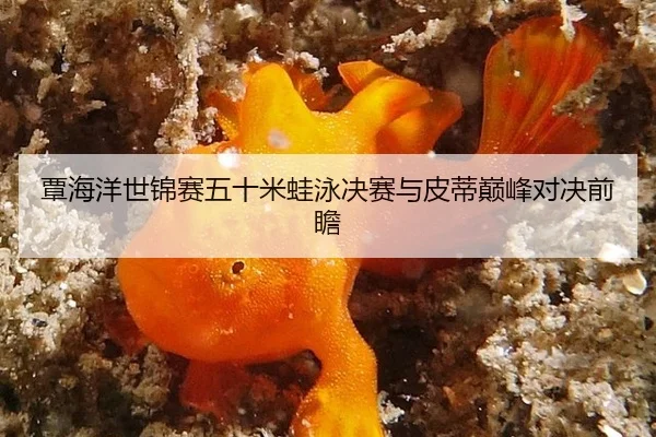 覃海洋世锦赛五十米蛙泳决赛与皮蒂巅峰对决前瞻