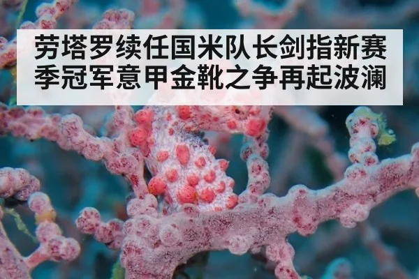 劳塔罗续任国米队长剑指新赛季冠军意甲金靴之争再起波澜